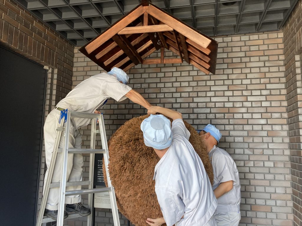 新酒しぼりの季節到来！『酒林』杉玉の付け替え 災厄が”すぎ”去るよう